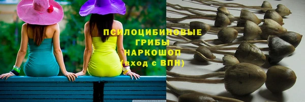 прущие крисы Арсеньев