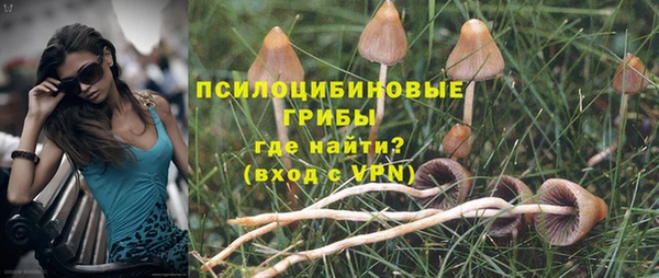 прущие крисы Арсеньев
